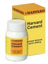 HARVARD CEMENT - Polvere 100 g